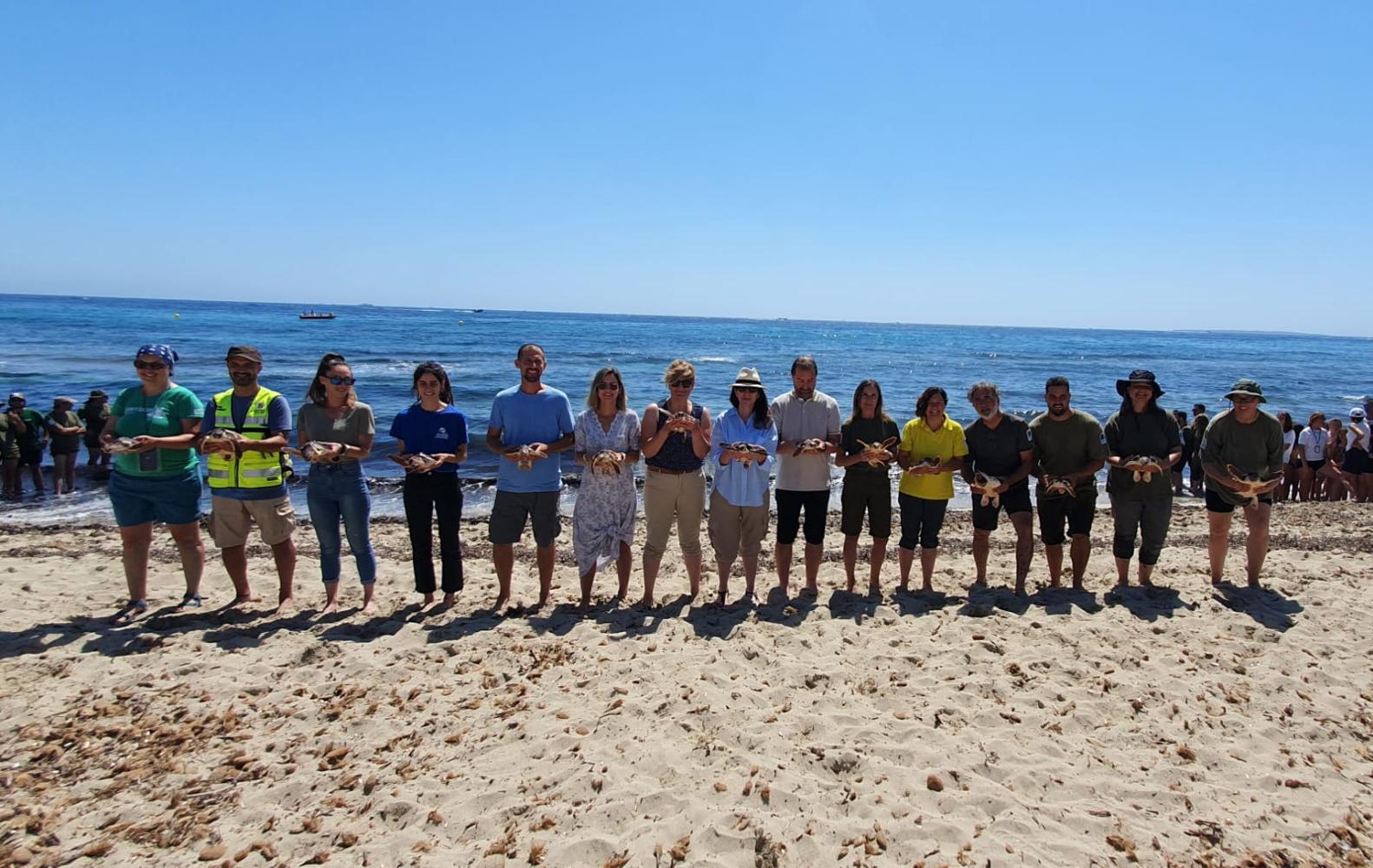 Imagen del artículo La Conselleria de Agricultura, Pesca y Medio Natural libera en la playa de Es Cavallet un total de 74 tortugas marinas nacidas en Ibiza el verano pasado