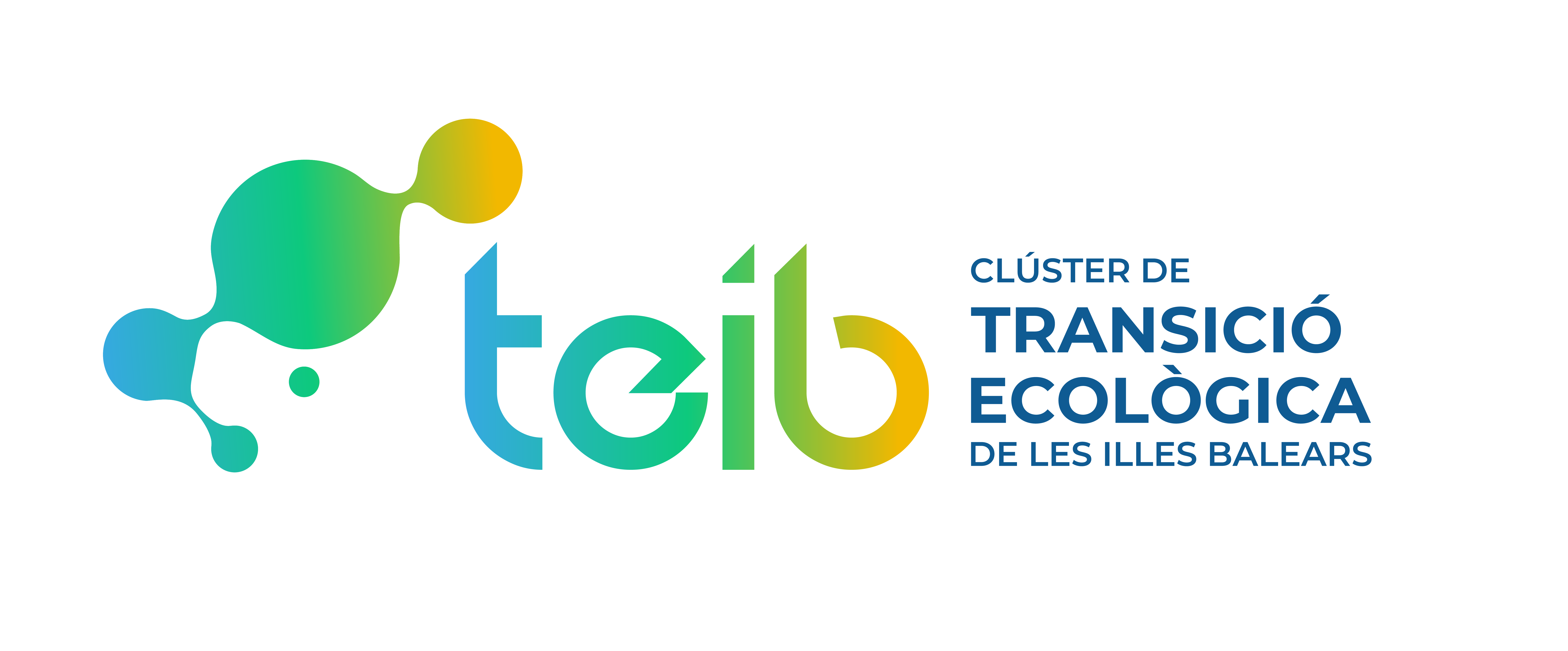 desc_logo_TEIB.png