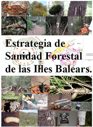 Portada del document de l'estrat&egrave;gia de Sanitat Forestal de les Illes Balears.