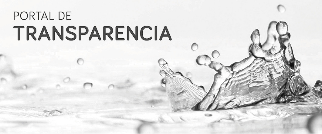 Portal Transpar&egrave;ncia