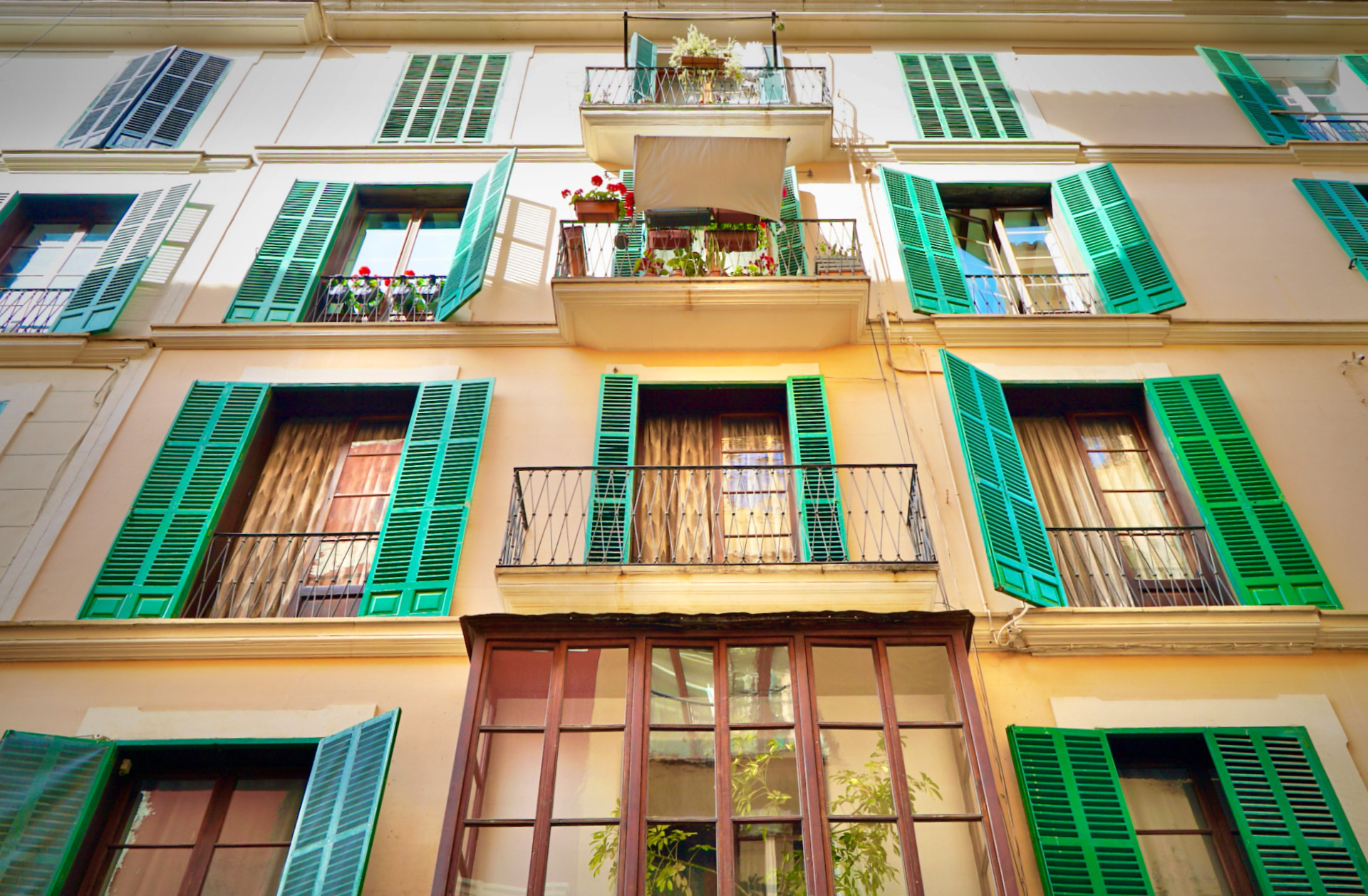 Persianas verdes en un edificio del casco antiguo de Palma