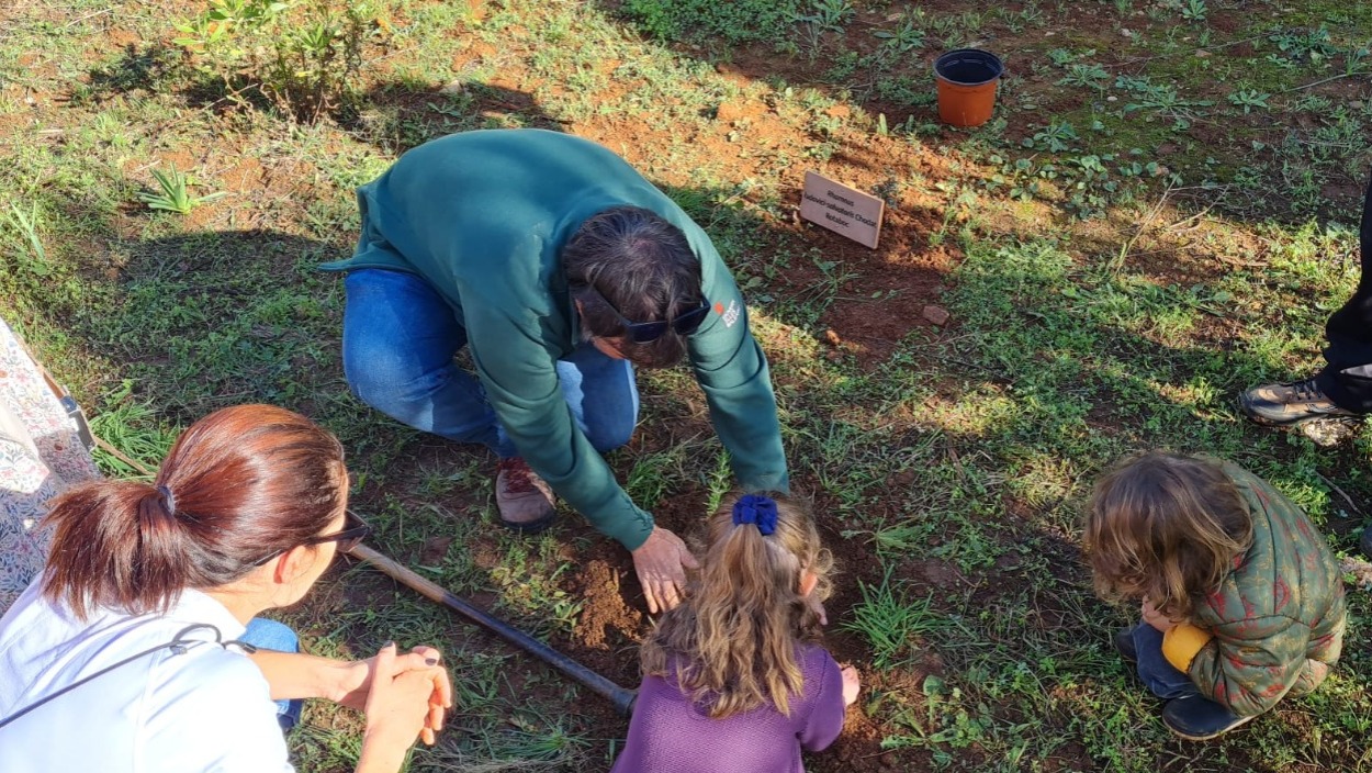 Sembra de plantes amb infants