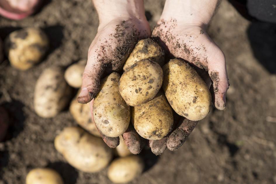 Investigación y formación agraria y pesquera