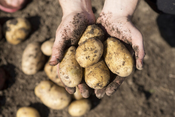 Investigación y formación agraria y pesquera