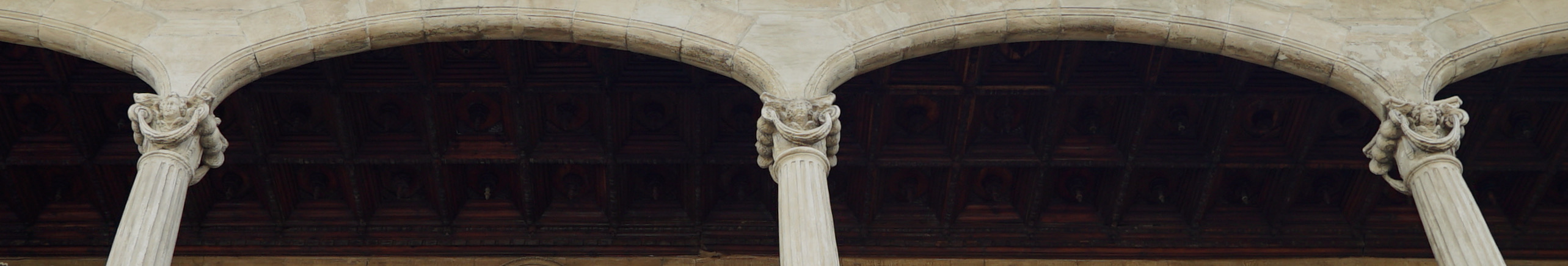 Columnas