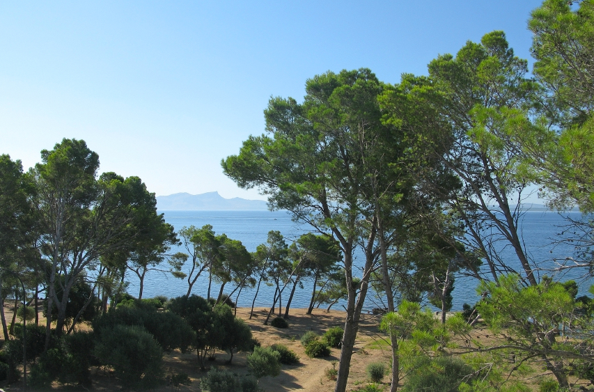 Projecte Eco Sea Routes