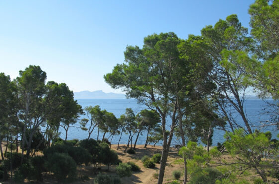 Projecte Eco Sea Routes