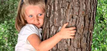 BANNER360X172 2025632ca