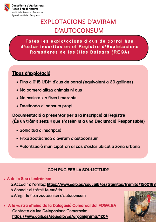 Infografia 