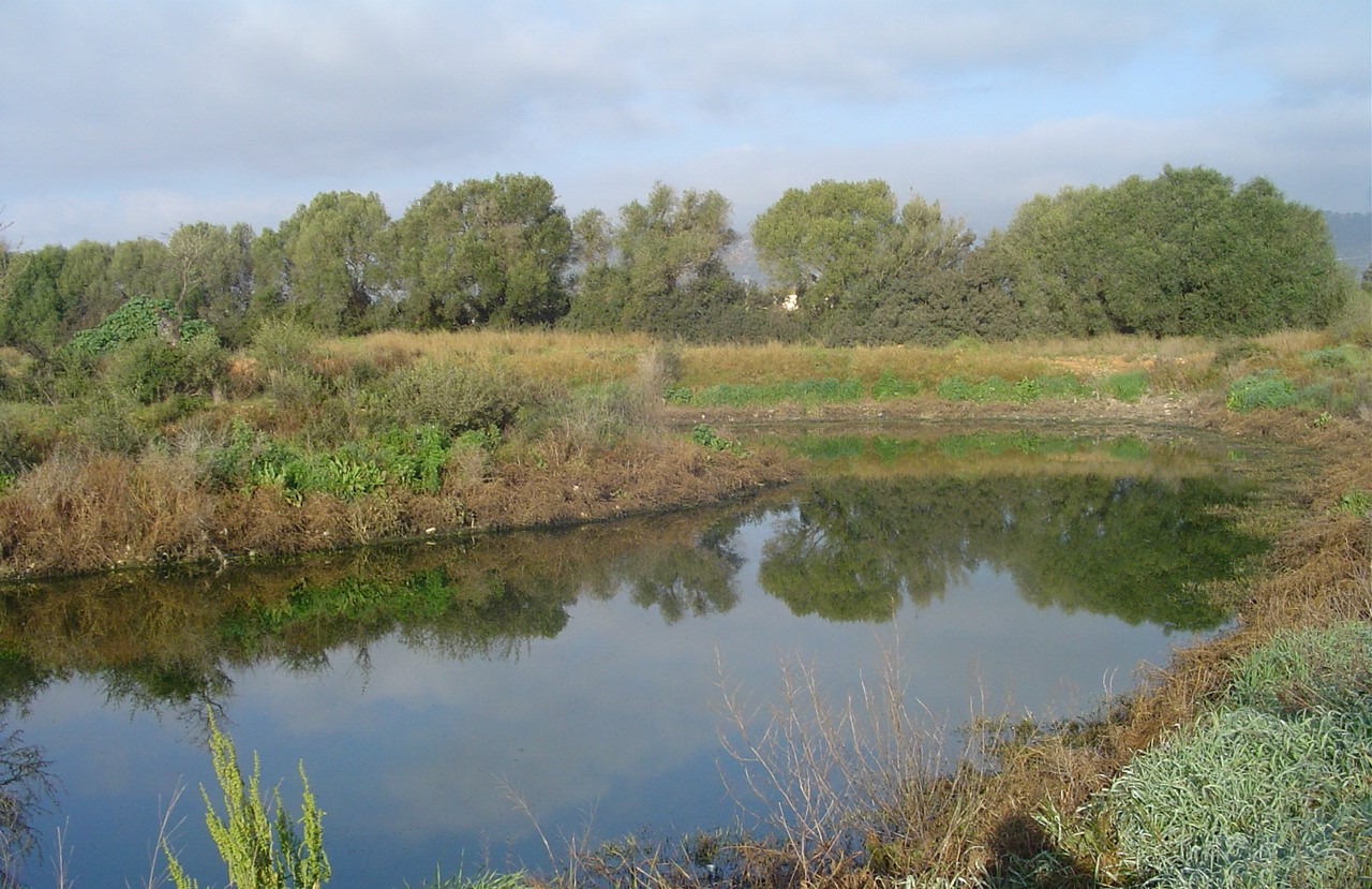 Llacunes d’evaporació i infiltració de Binissalem