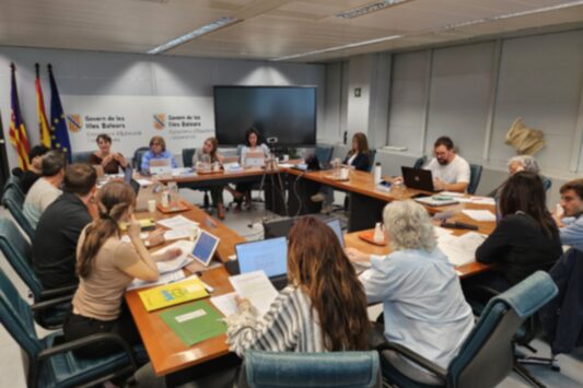 La Conselleria d’Educació i Universitats presenta l’esborrany de la nova normativa d’escolarització a la Mesa Sectorial d’Educació