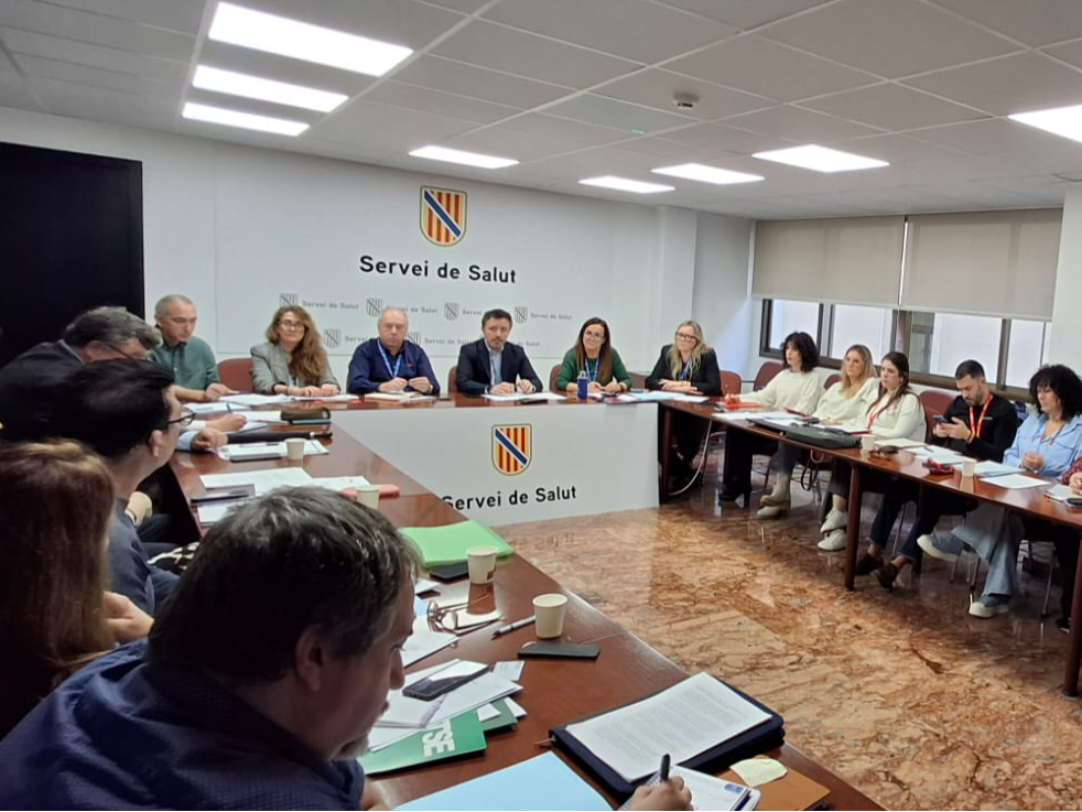 Imatge de la reunió de la Mesa Sectorial de Sanitat.