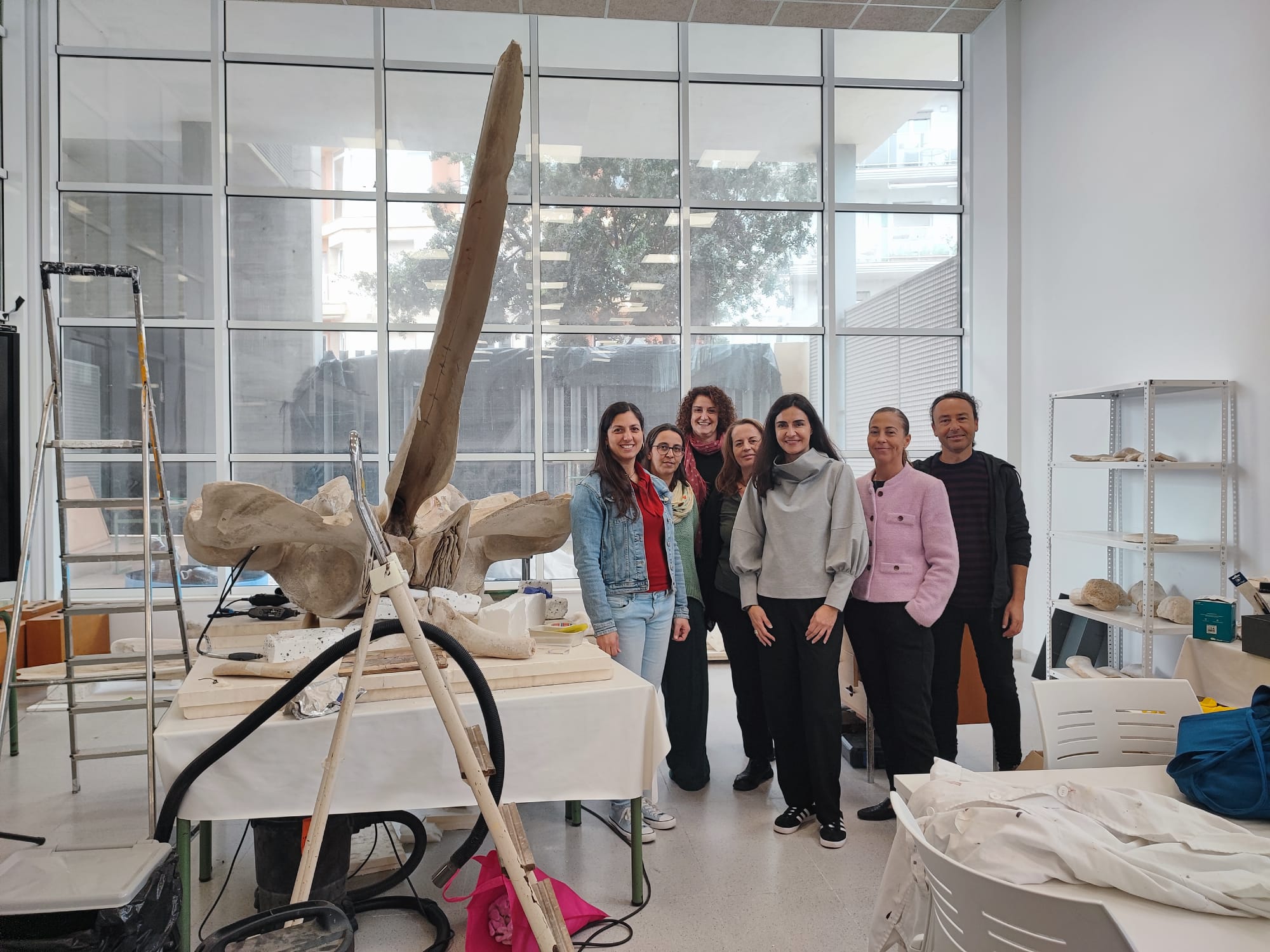 MUSEU IES JOAN RAMIS I RAMIS