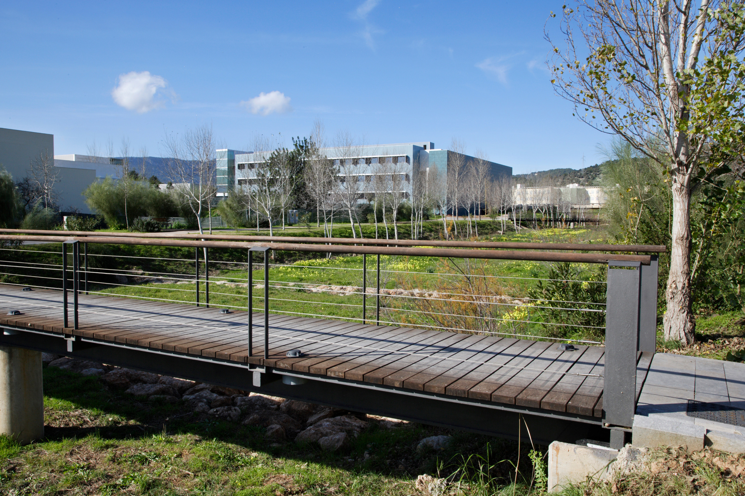 Un pont del Torrent de Na Barbarà al ParcBIT.