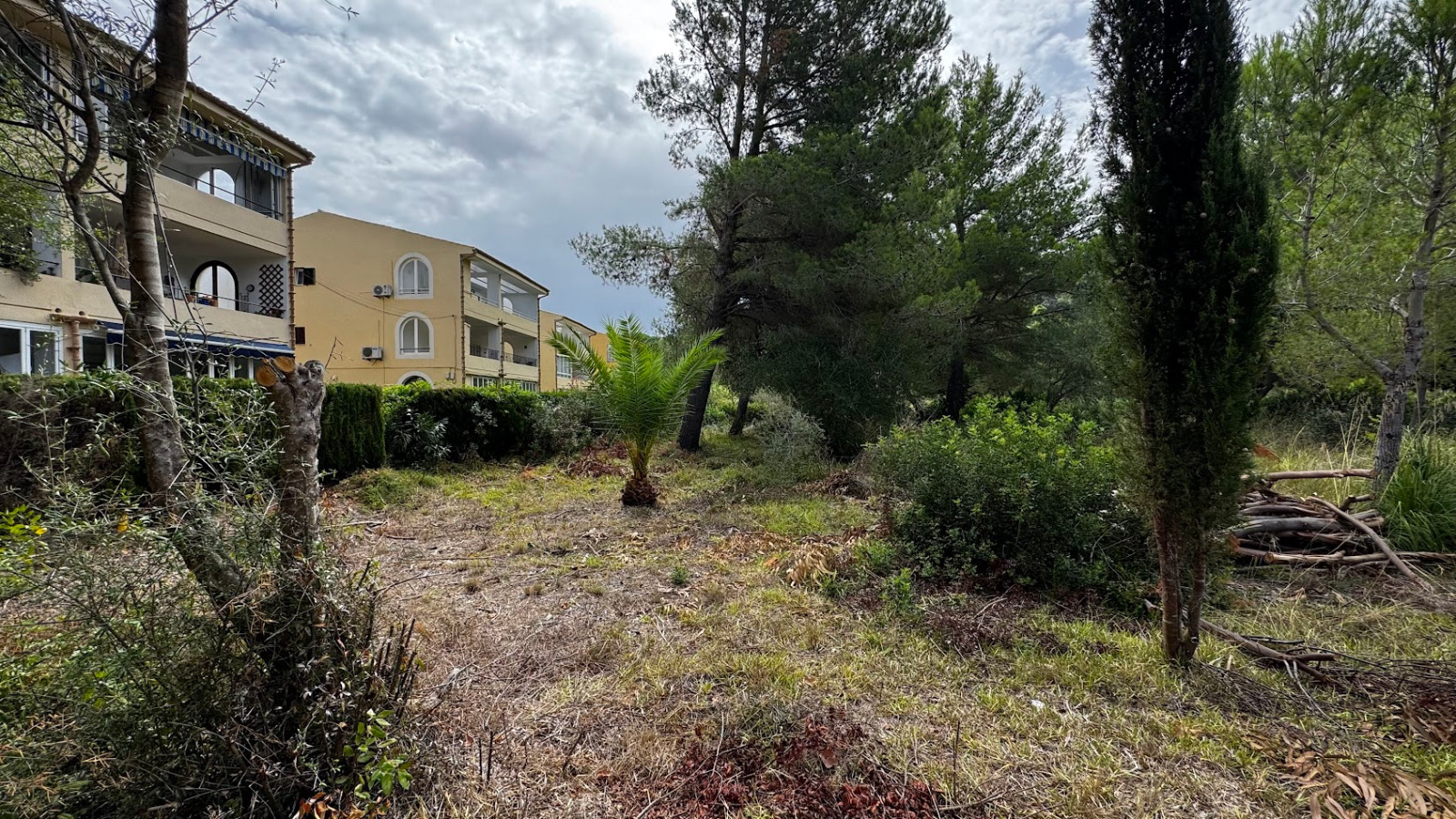 Imatge del solar cedit per l'Ajuntament de Pollença a l'IBAVI.