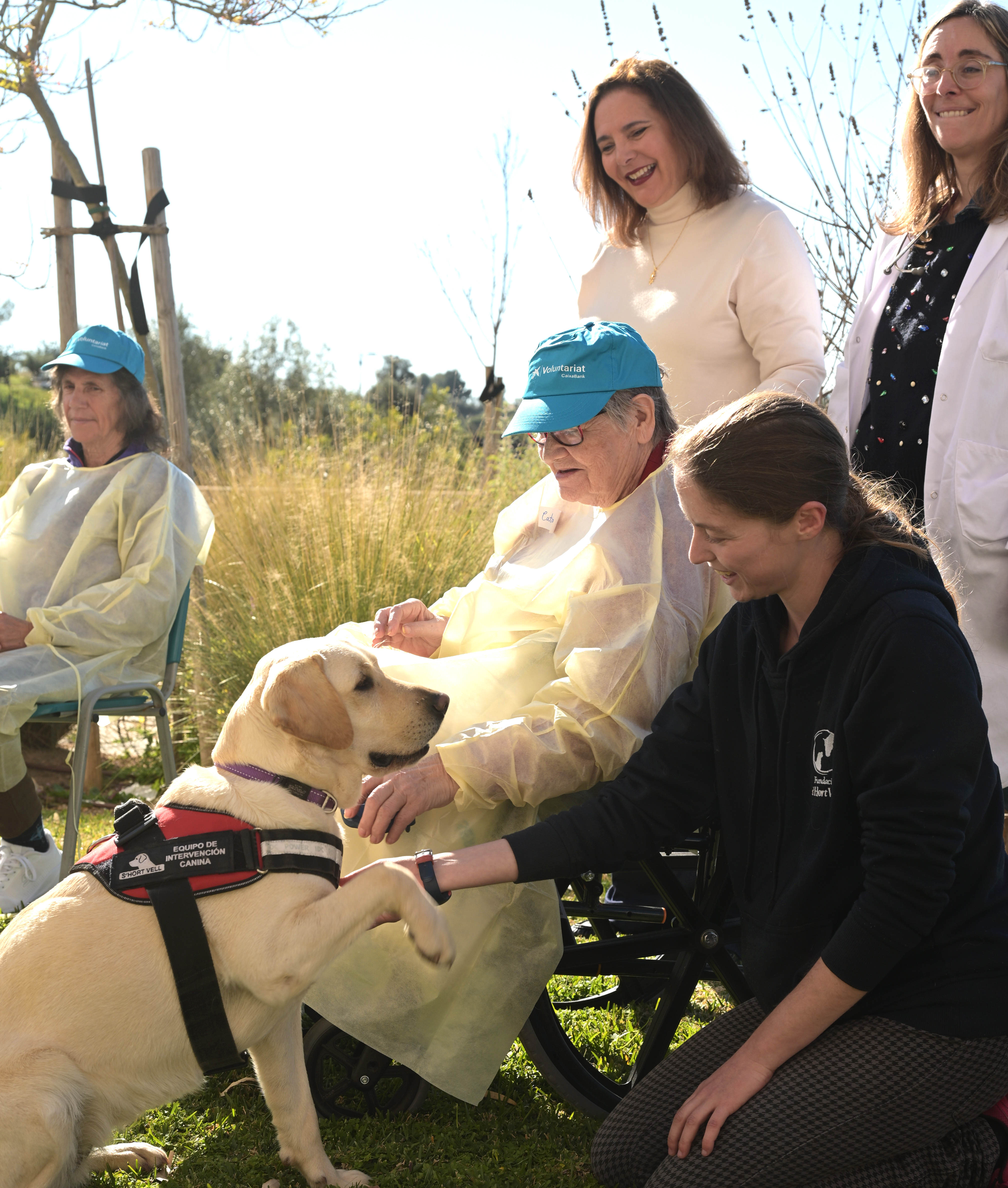 Primer programa d’intervencions assistides amb cans en un hospital públic de Balears