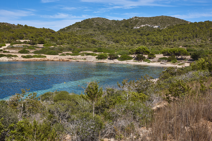 Litoral de l'illa de Cabrera
