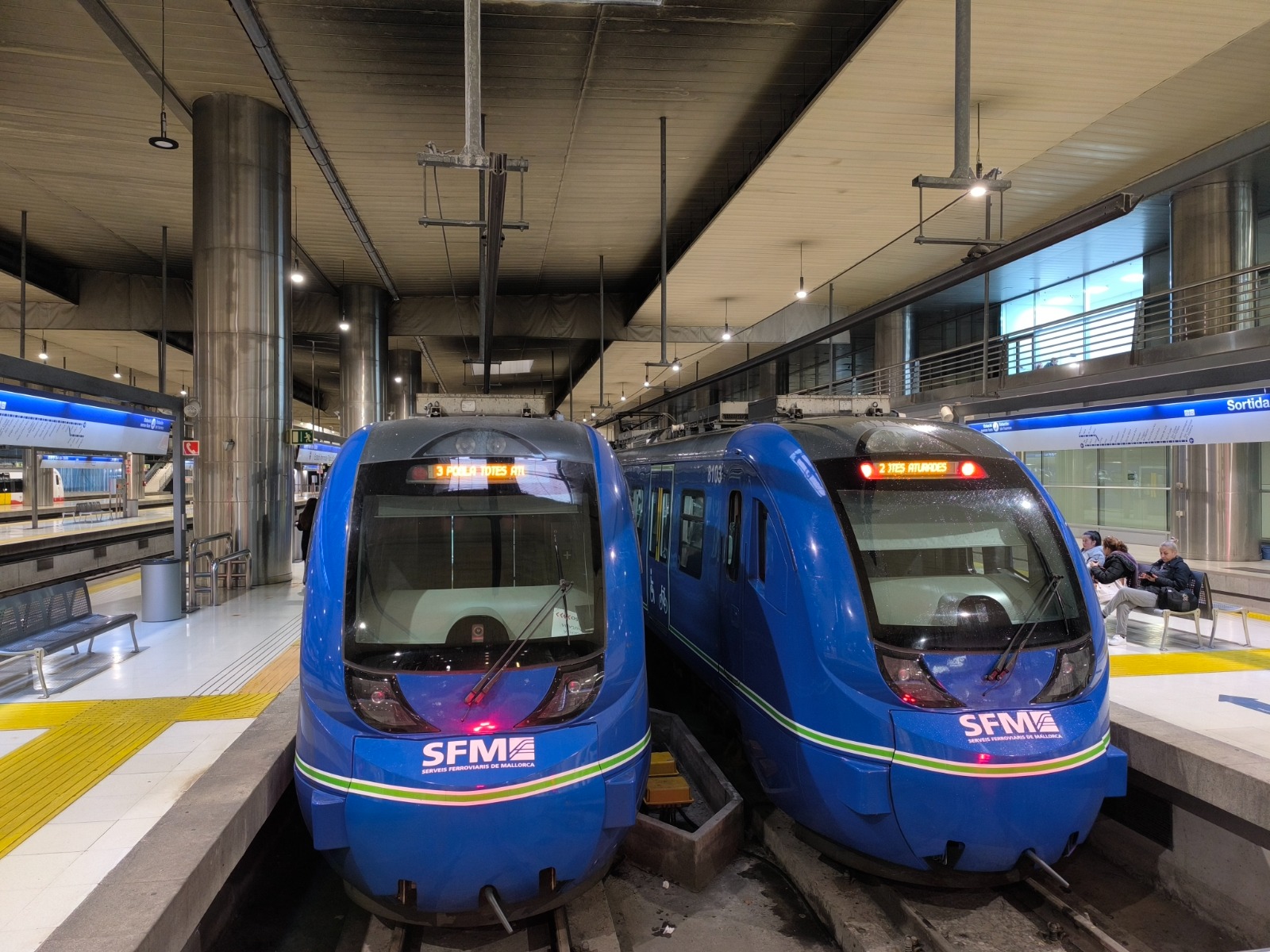 Trens de l'SFM a l'estació Intermodal. 