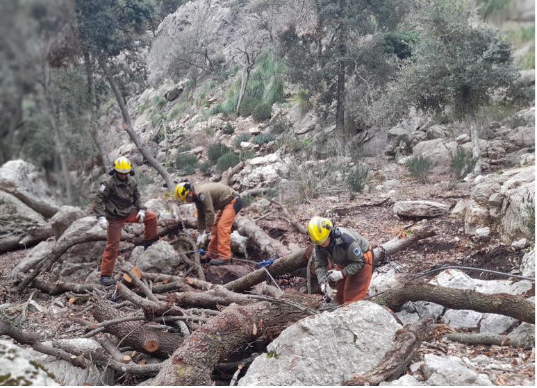 Tres treballadors de l’IBANAT executen una actuació de prevenció d’incendis.