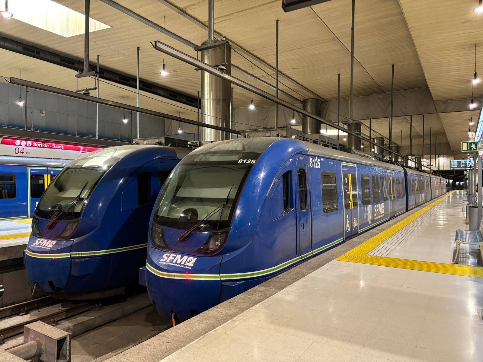 Vagons de tren a l'estació intermodal de Palma.