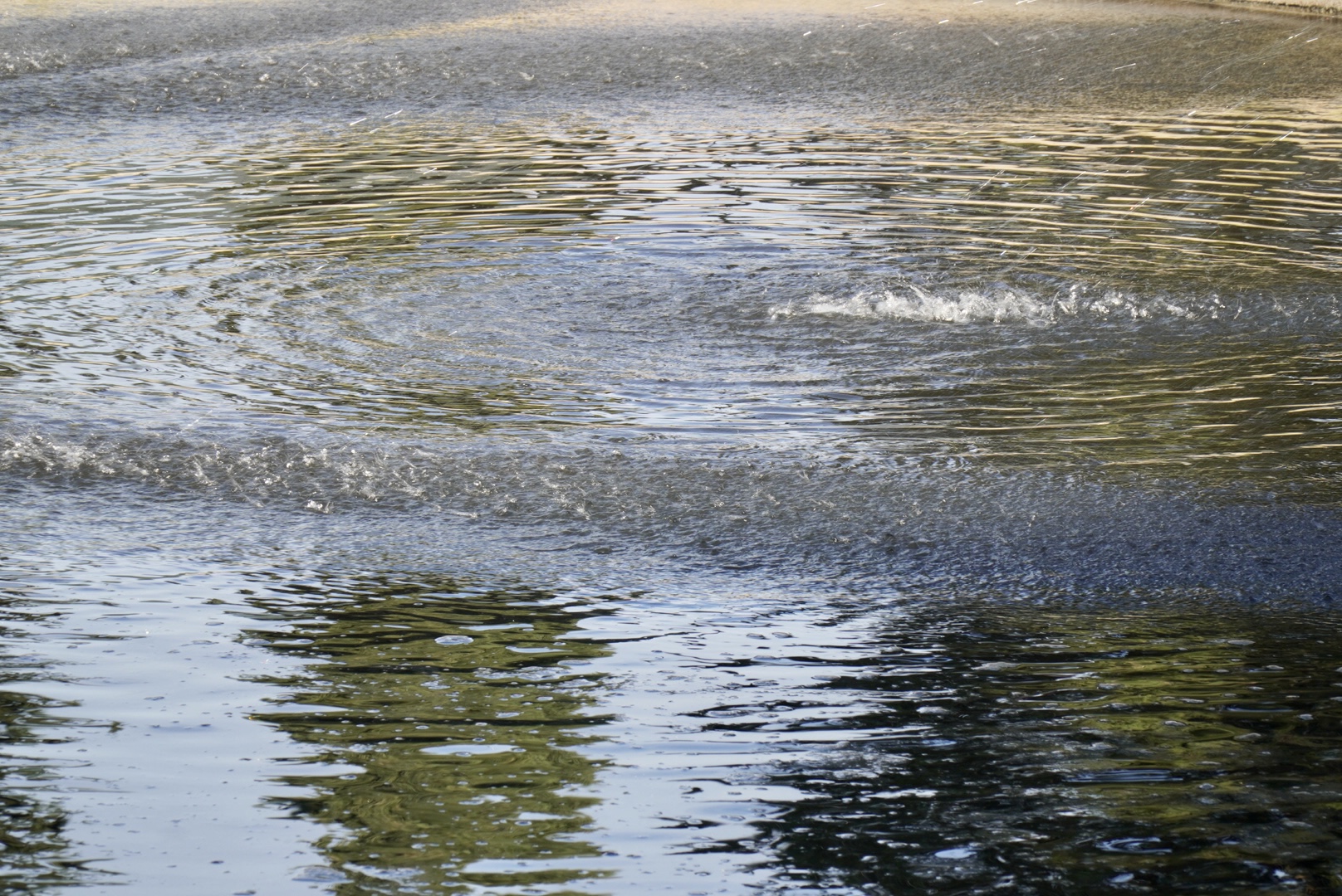 Aigua.