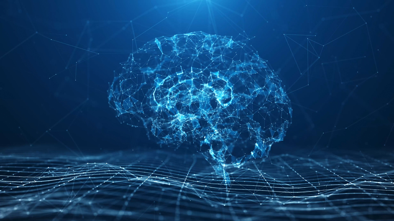 Imatge digital d'un cervell