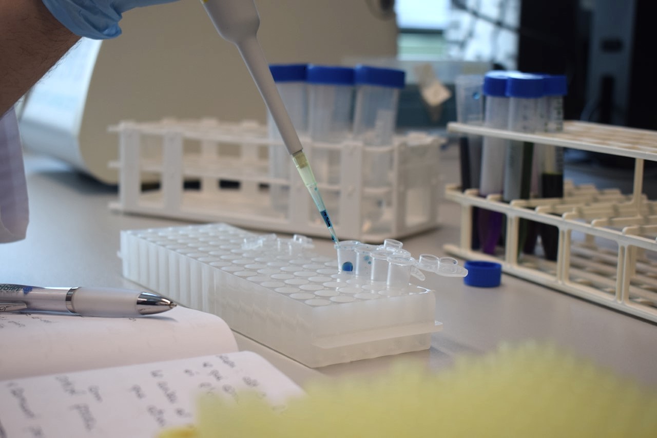 Proves a un laboratori