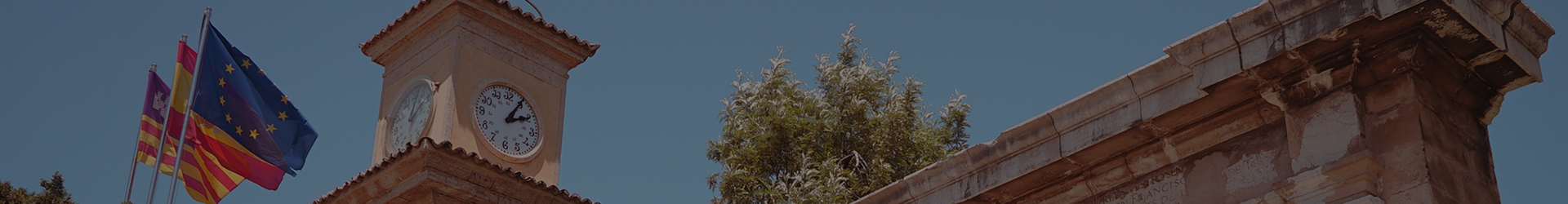 banner